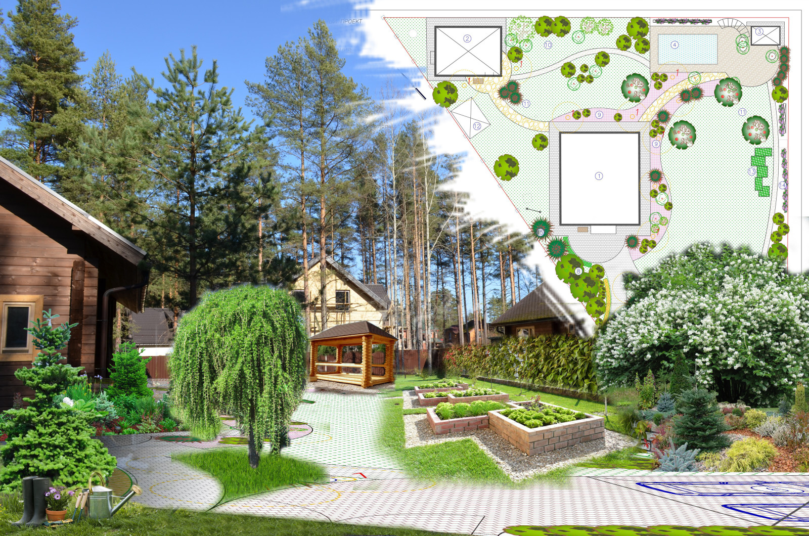 Ольга Массарова