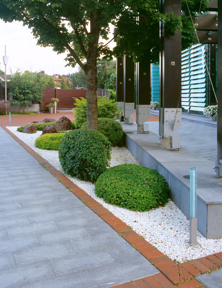 Фотоохота: 93 садовые дорожки мечты