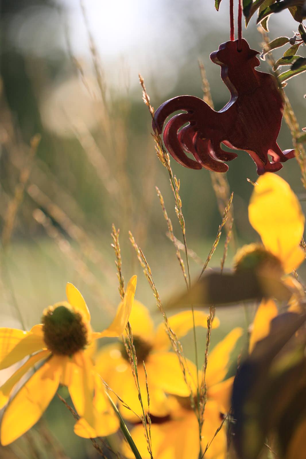 Notre Dame potager et marche