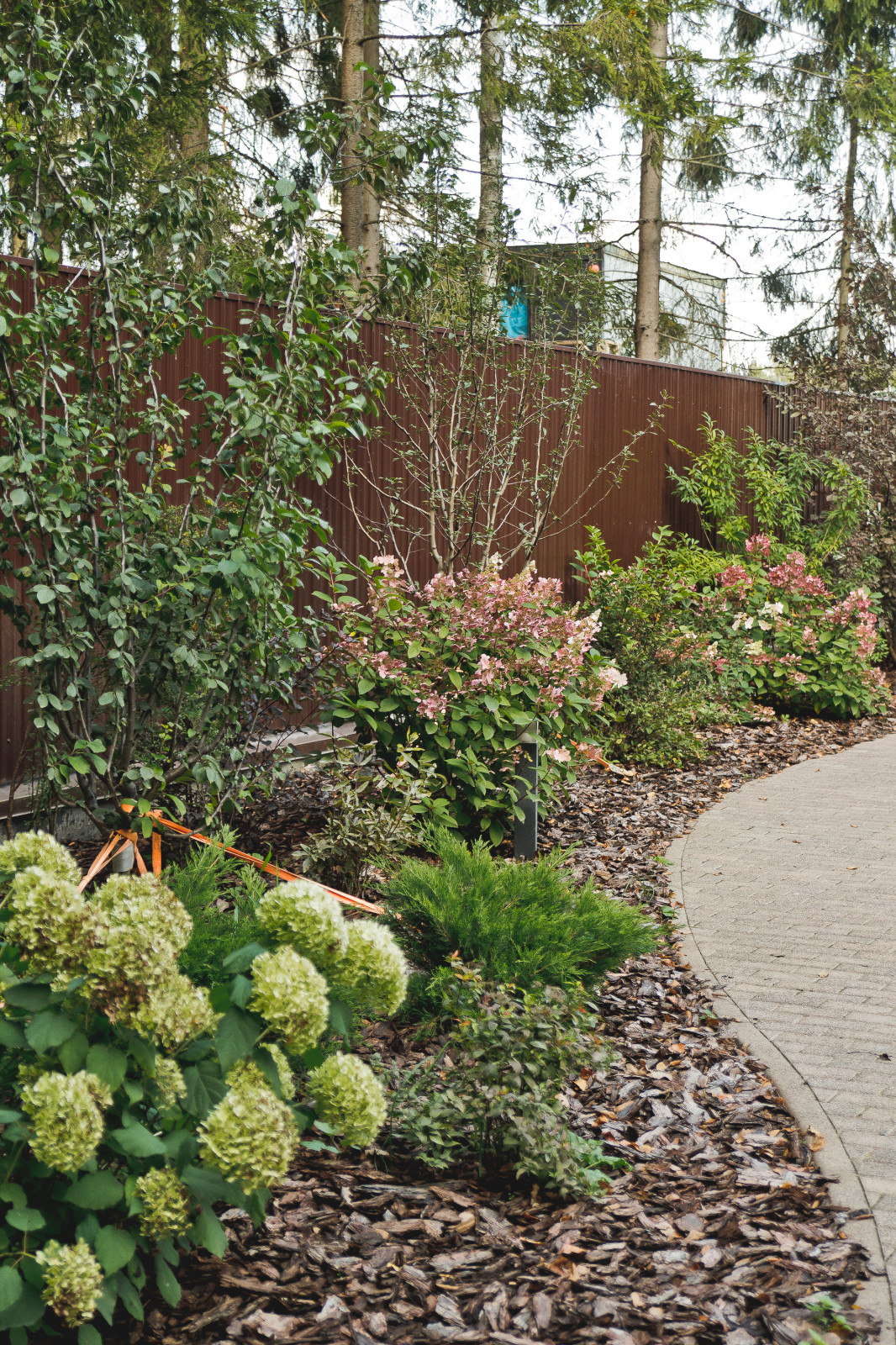 Сад на краю леса