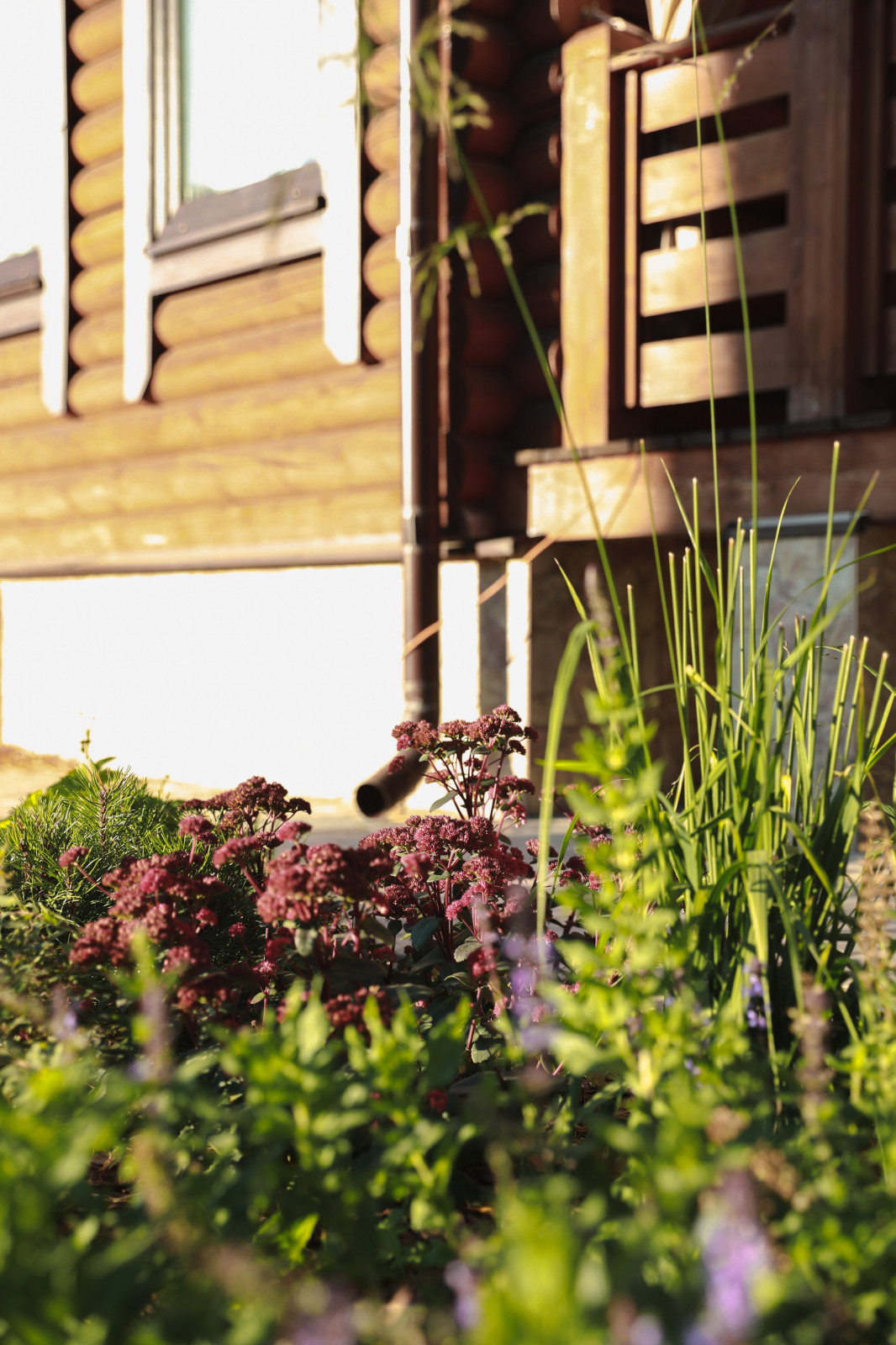 Участок 4 сотки, благоустройство и ландшафт