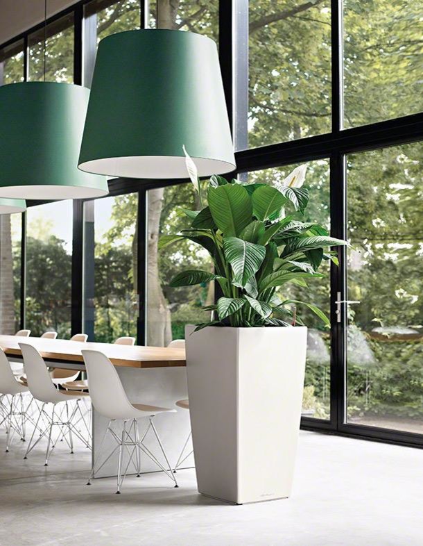 Время для серьезных дел