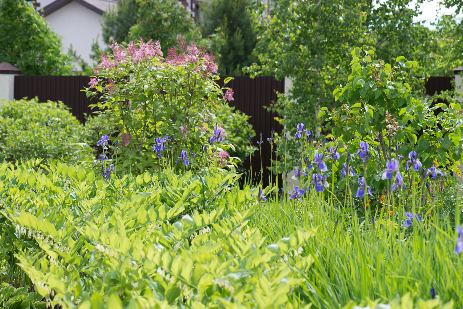 Большой сад в пригороде