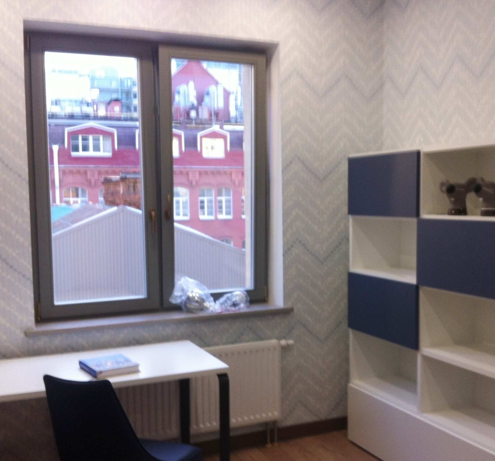 Детская для школьника с видом на питерские крыши.