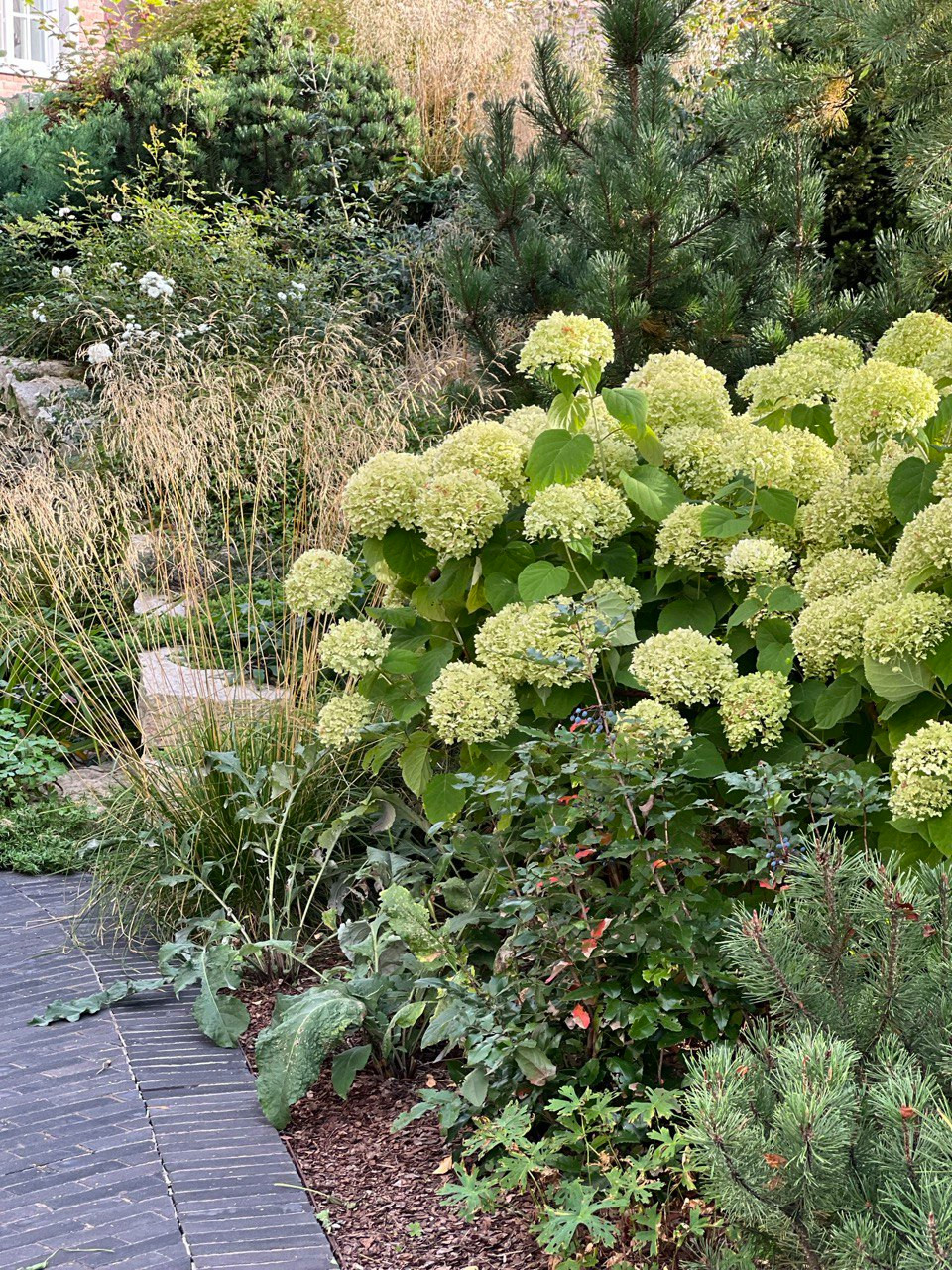 Английская история