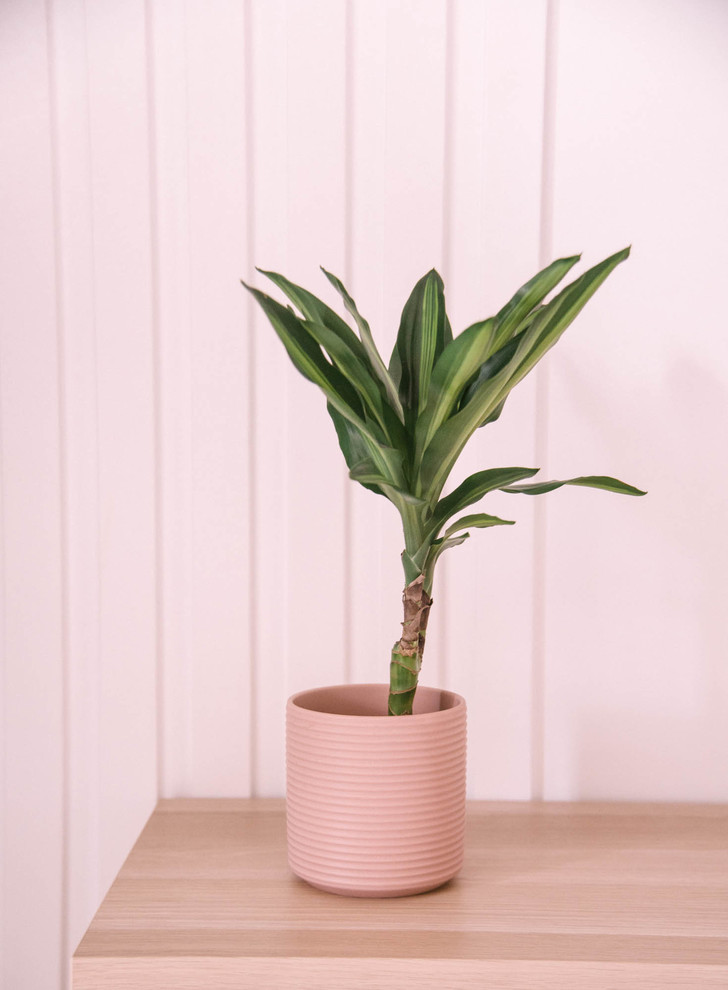 Реализация проекта