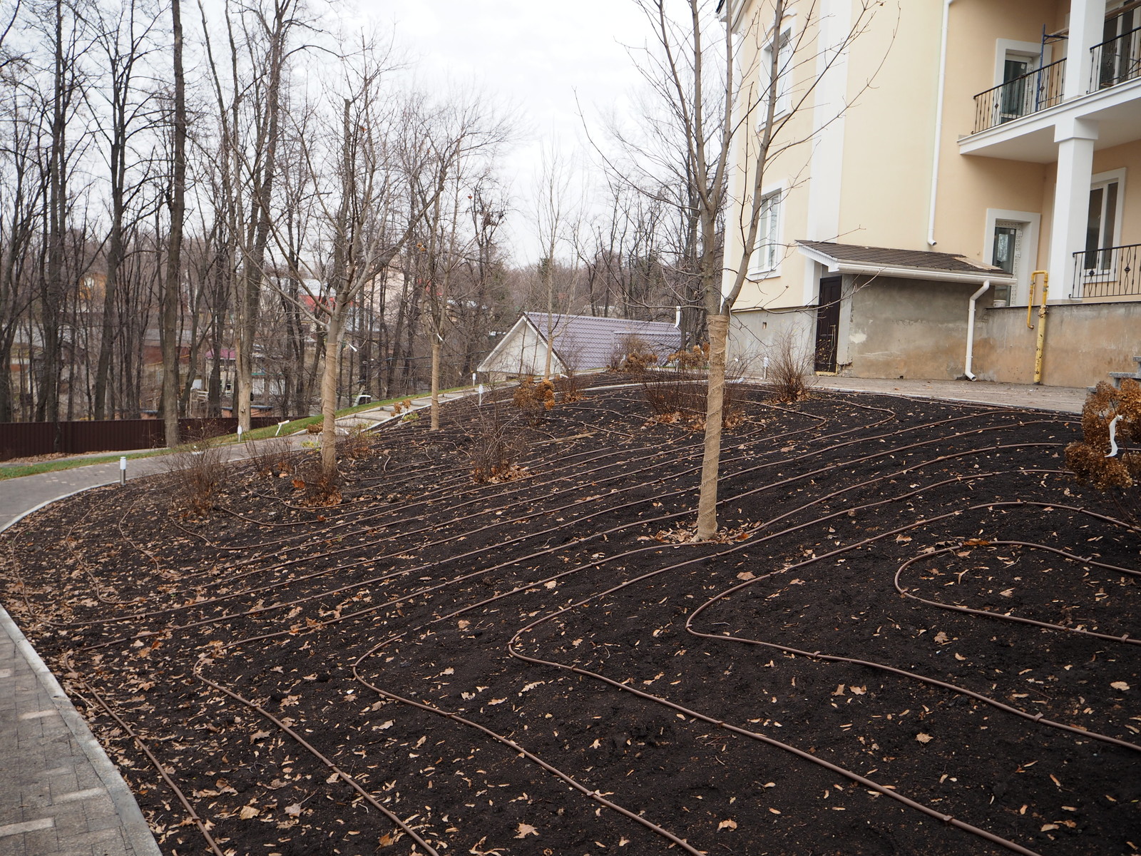 Обложка альбома: Сад_газон_полив