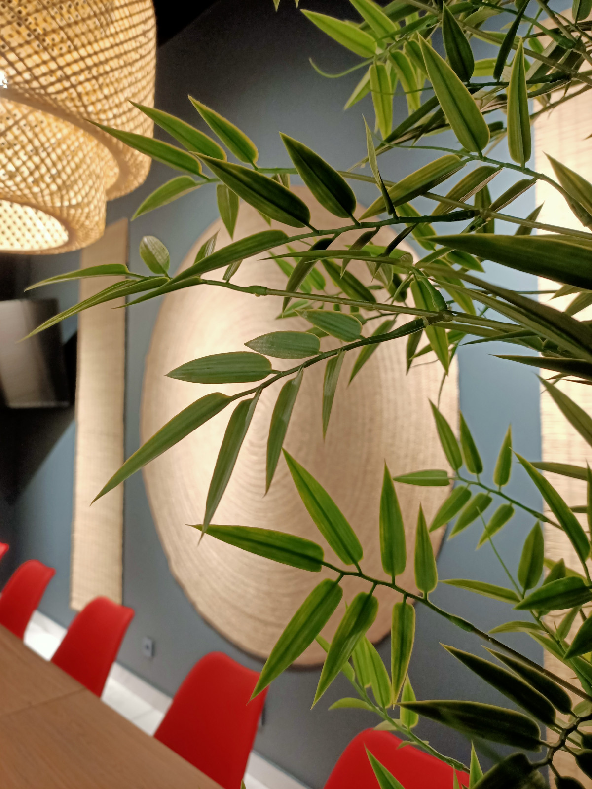 Обложка проекта: КОМНАТА ОТДЫХА В ОЗДОРОВИТЕЛЬНОМ КОМПЛЕКСЕ