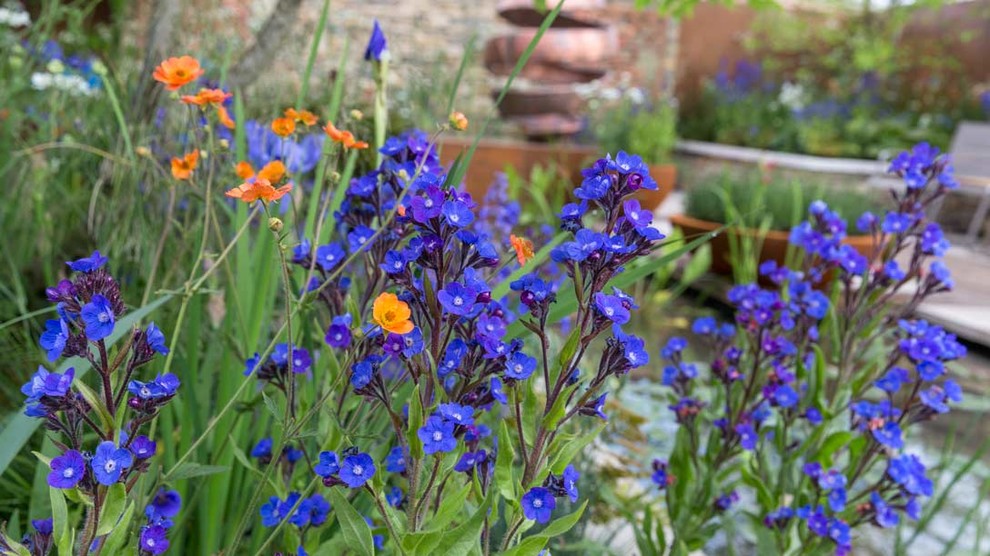 Уроки Chelsea Flower Show: Модные растения 2018 года