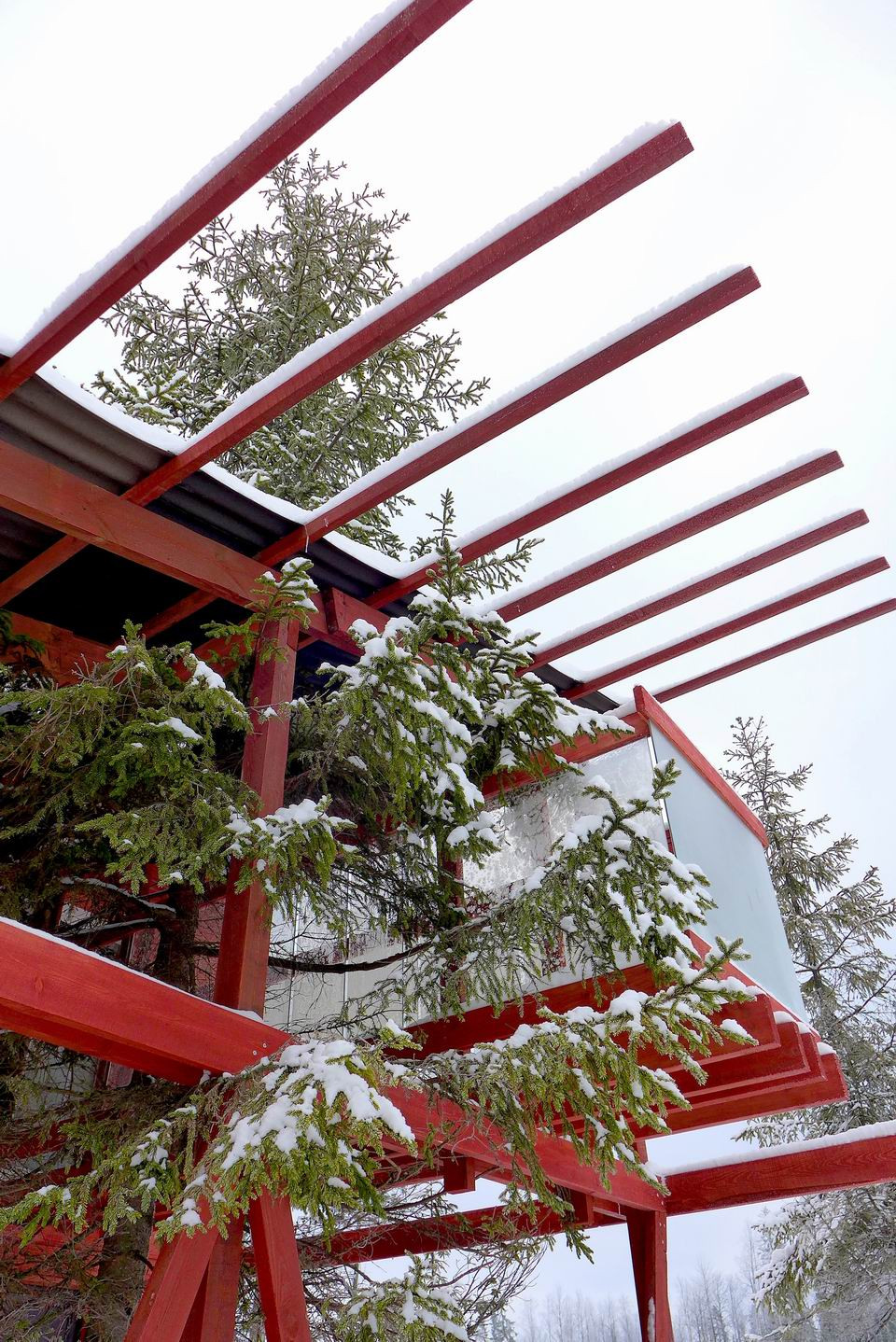 Дом с ёлкой 45 кв.м.