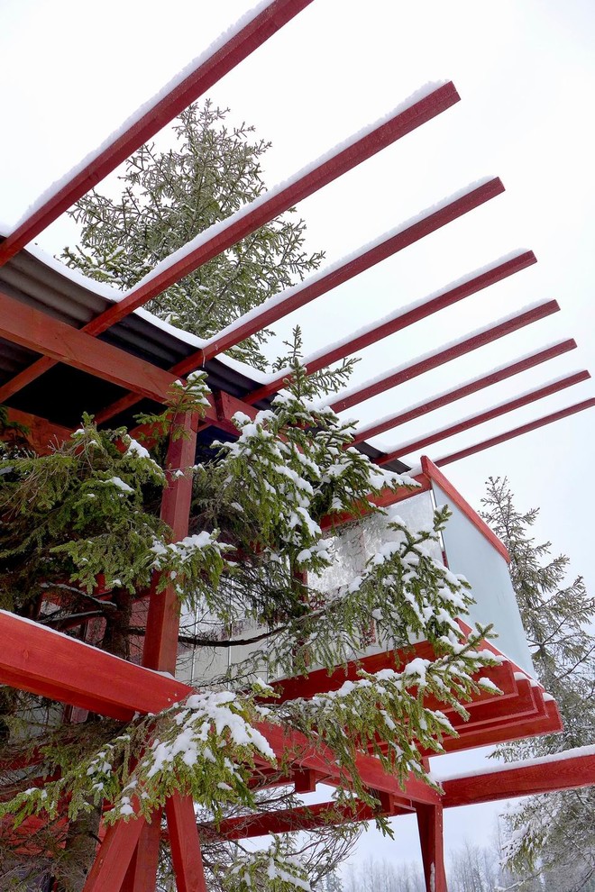 Дом с ёлкой 45 кв.м.