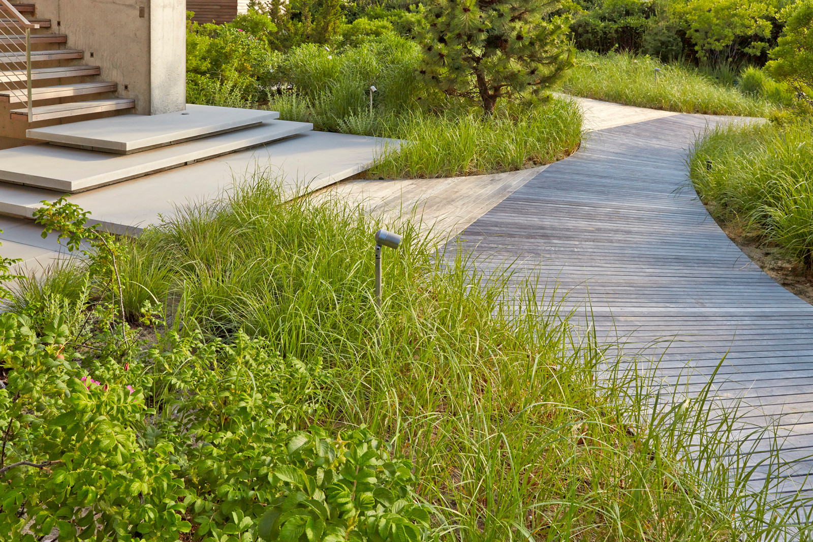 Ландшафтный дизайн участка 50 соток, Краснодарский край