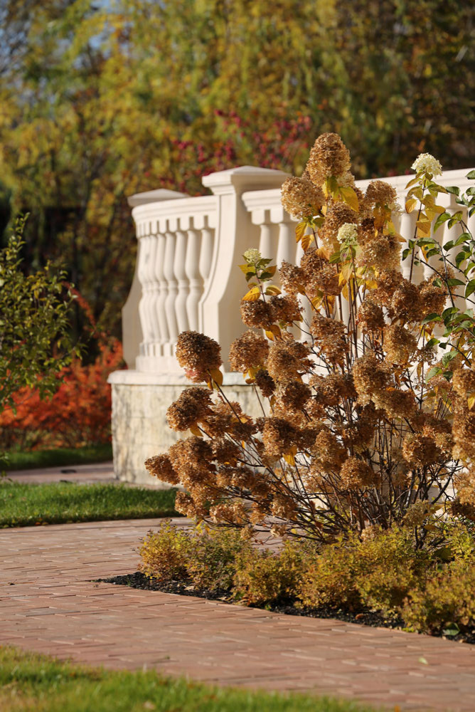 В центре круга