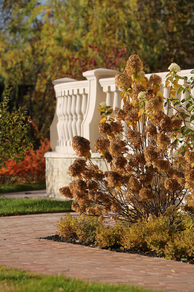 Вопрос: Как правильно выращивать гортензию