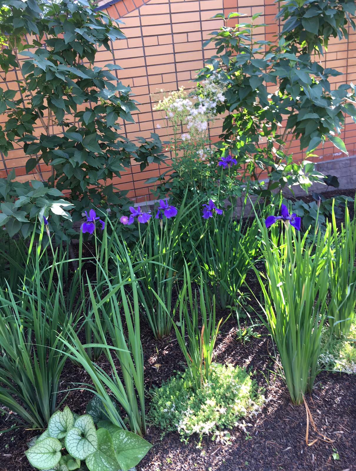 Ландшафтный дизайн участка 8,5 соток.