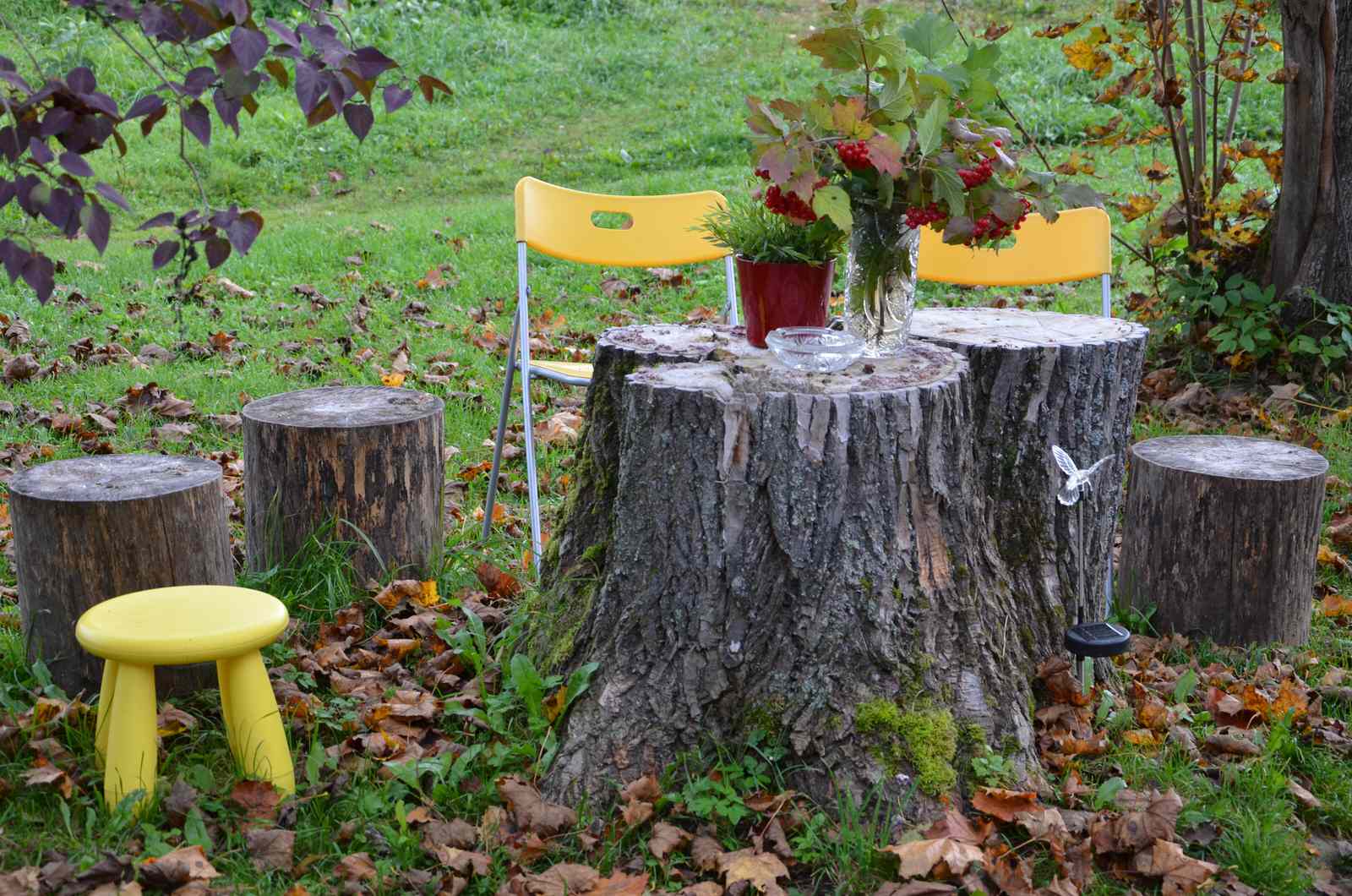 Садовый участок - осень