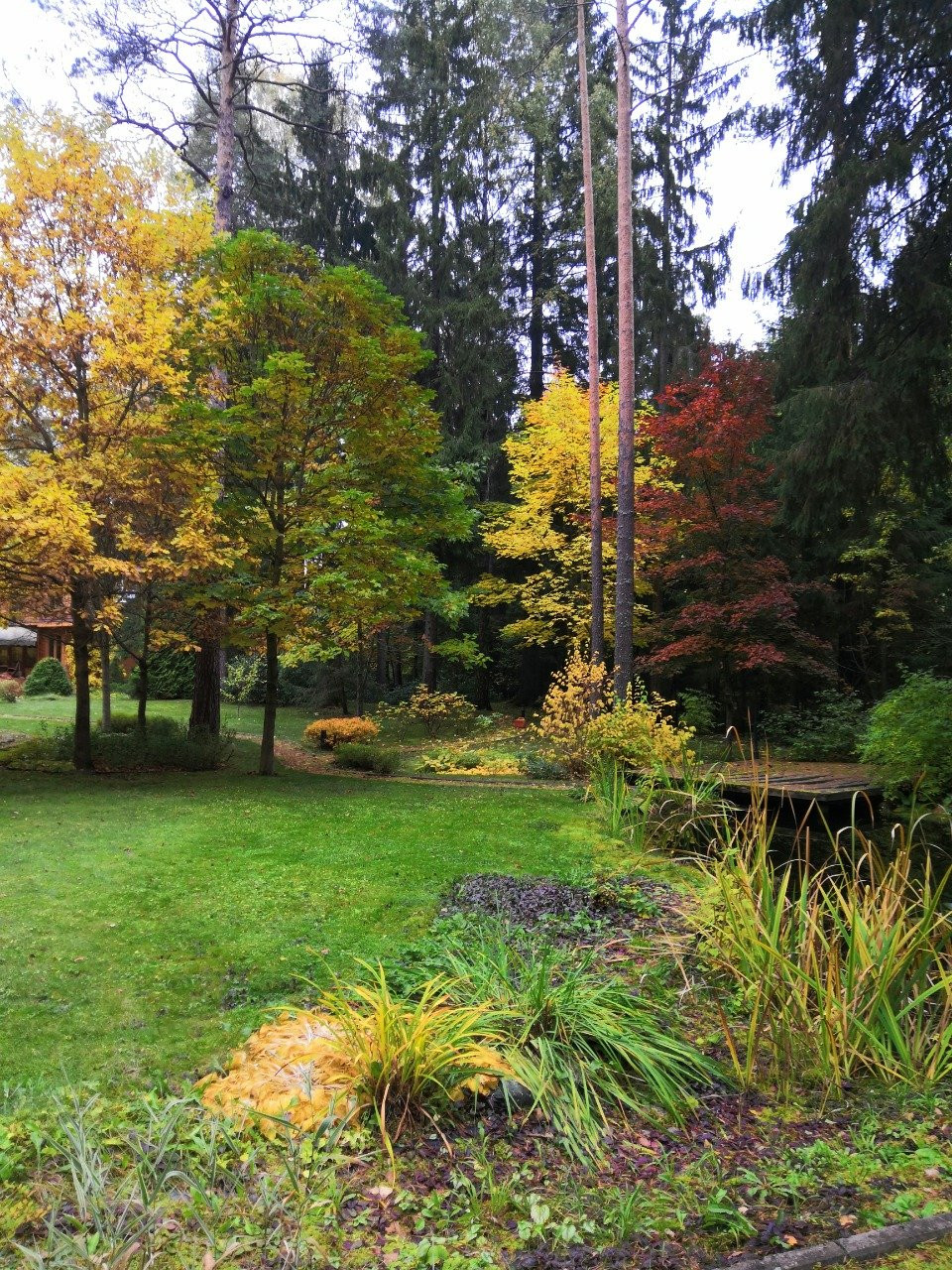 Романтический сад в пейзажном стиле
