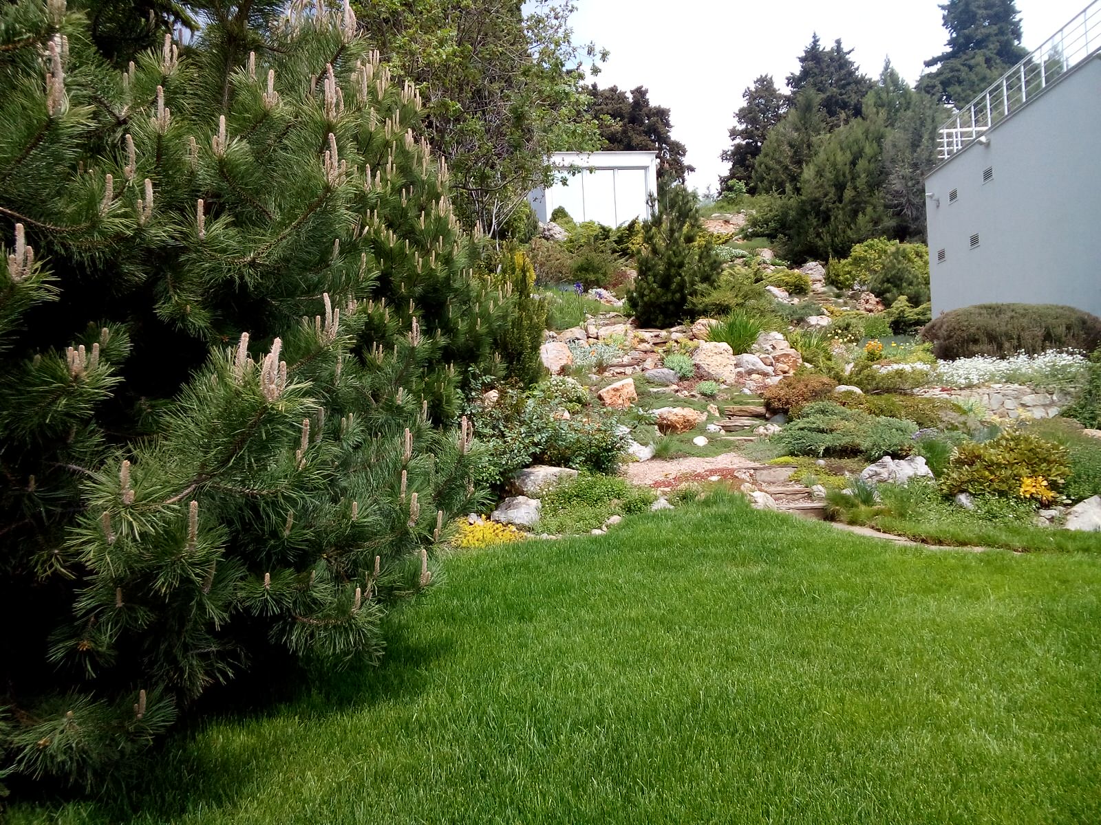 Крым. Гурзуф.