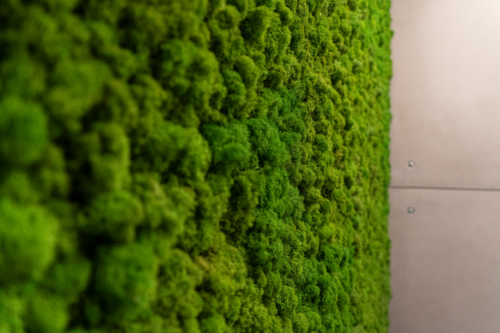 Проект в поселке Новогорск парк