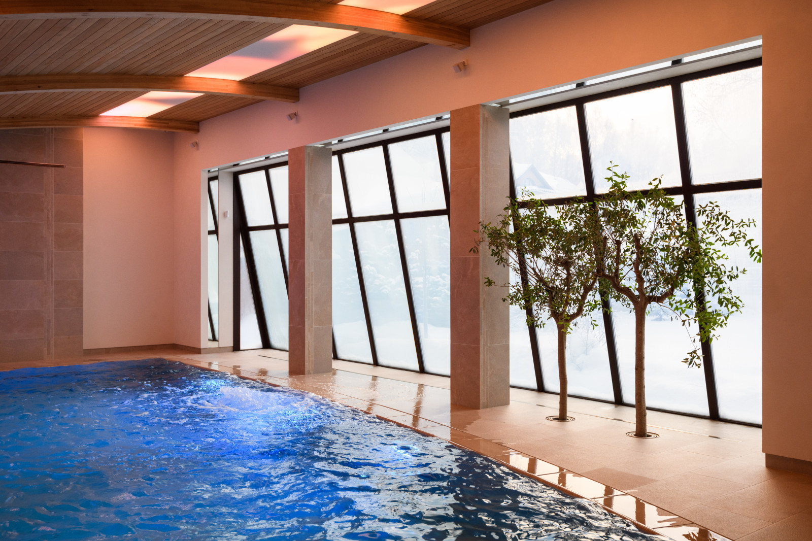 Личный опыт: Зачем я высаживала деревья внутри бассейна