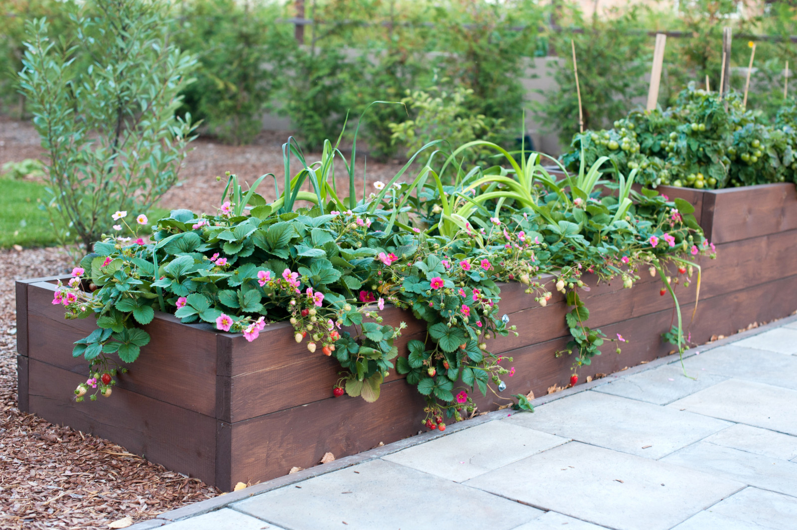 Сад Лабиринт