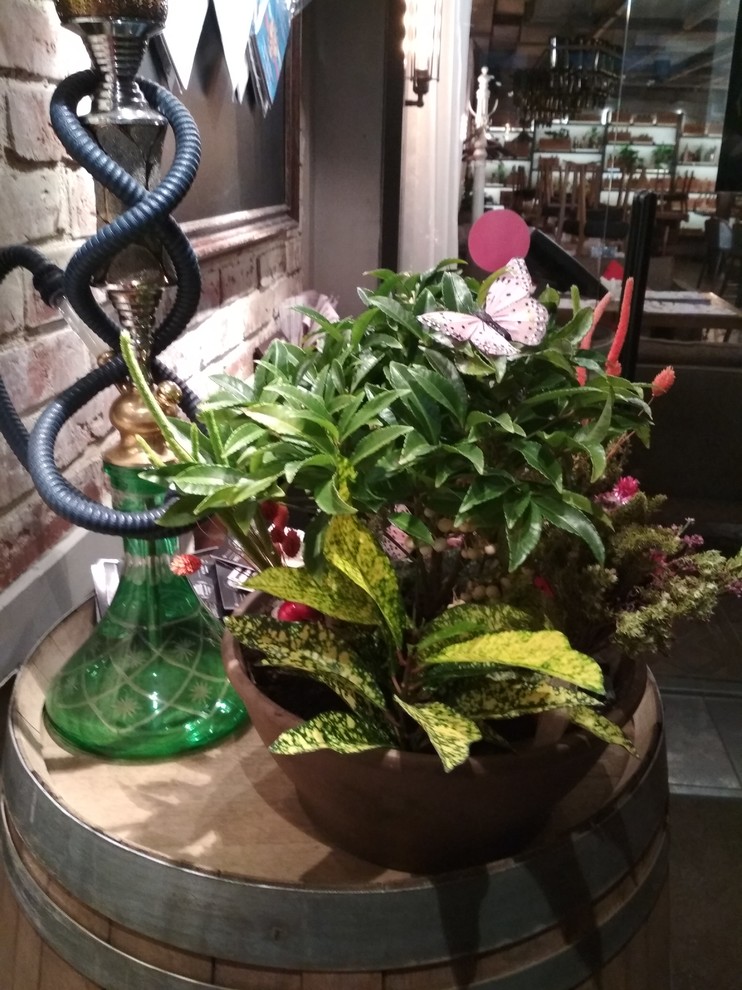 фитодизайн