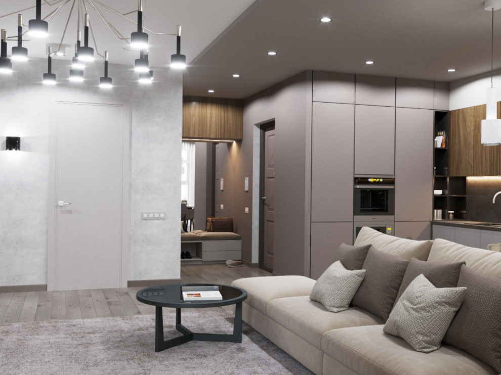 Гостиная-кухня