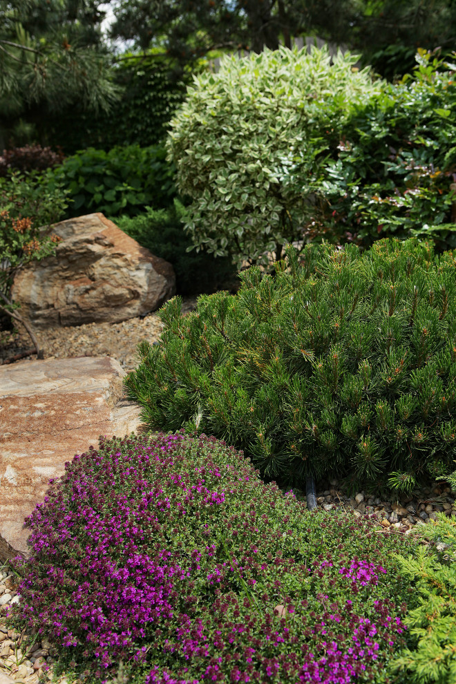 Лесная опушка