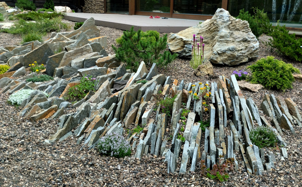 Проект лесного участка "Скалки"