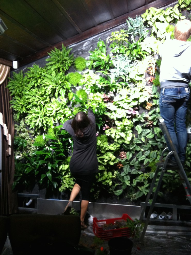 Вертикальные сады