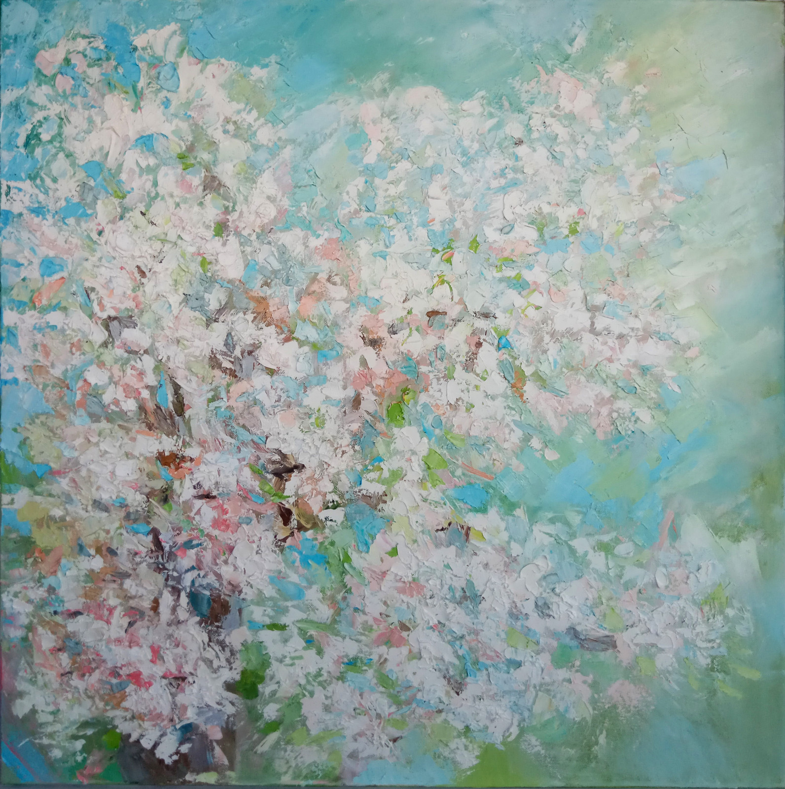 Anastasiya Yamshchikova