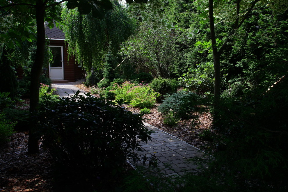 Обложка проекта: Ильинка. Реконструкция сада