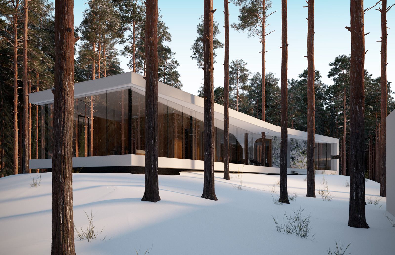 Дом в поселке Вартемяги