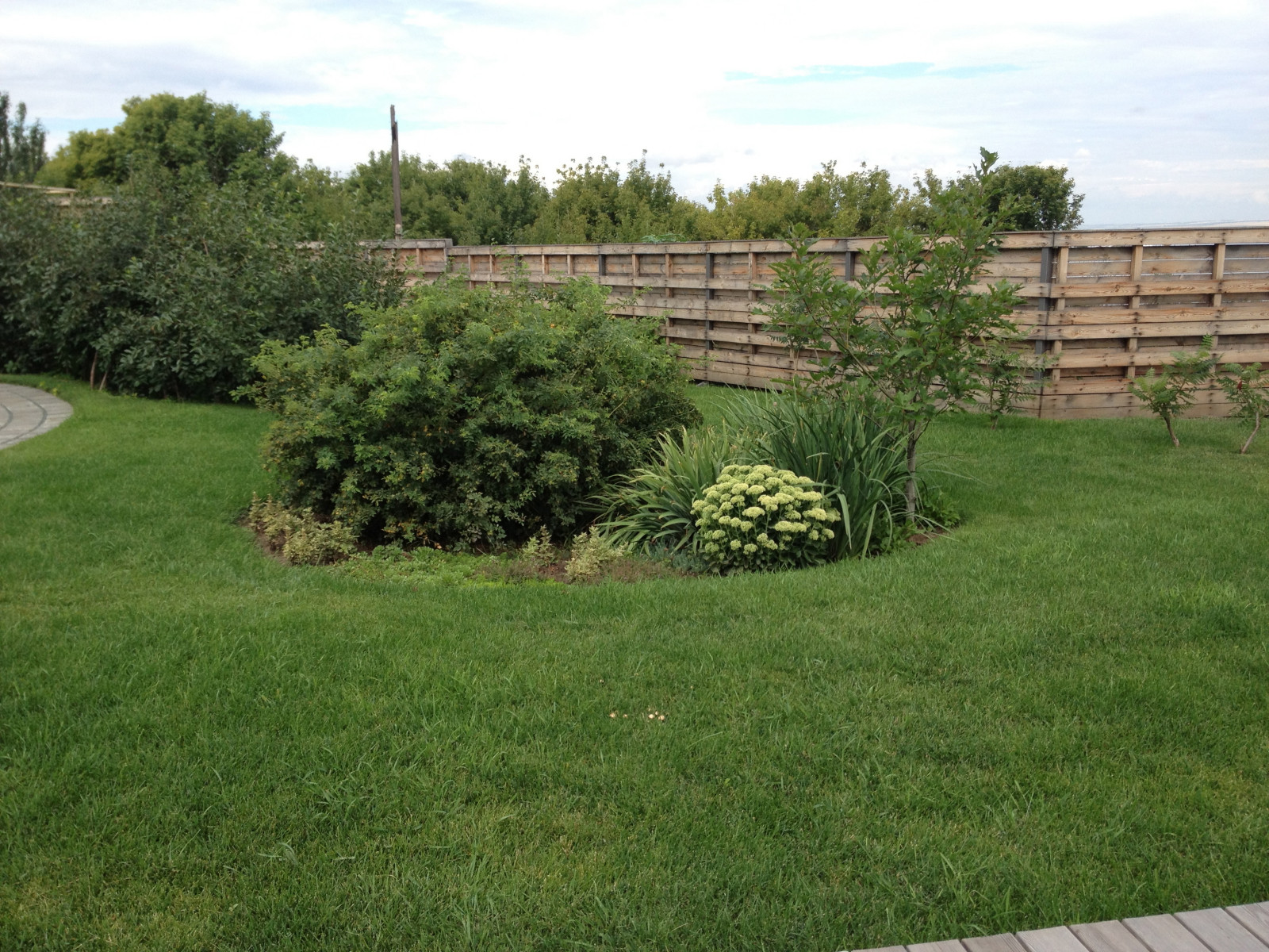 Обложка проекта: На берегу Волги