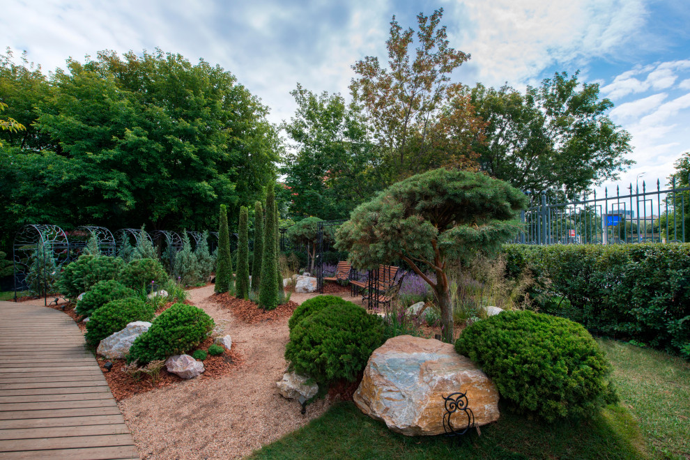 MFS2019 Silver проект "Солнечная тропа"