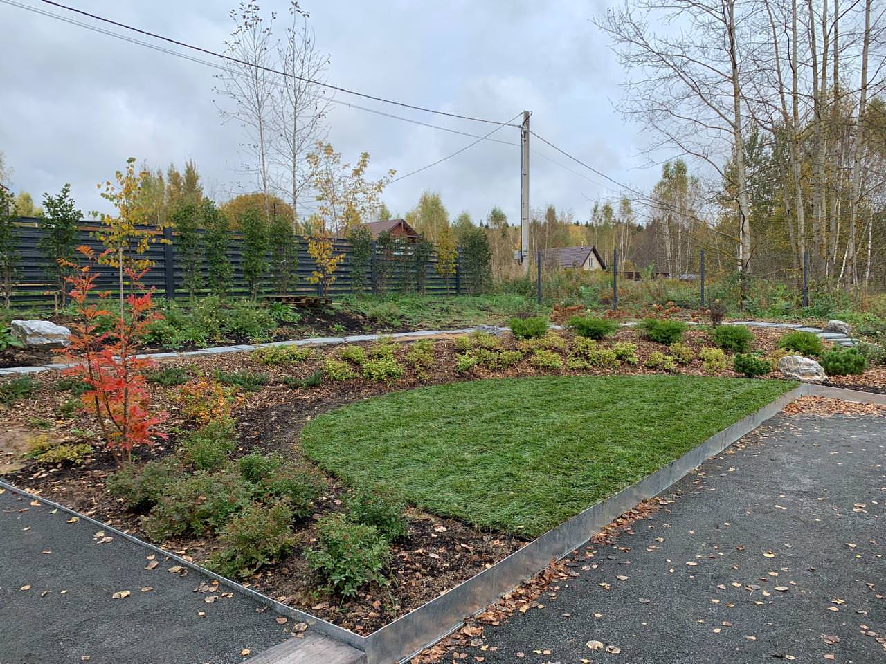 Проект " В тонких линиях "