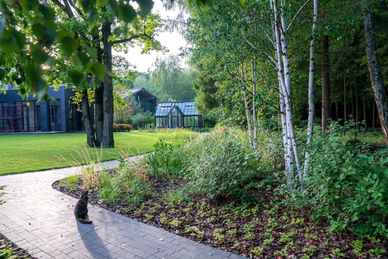 Мэдисон Парк 2022 г