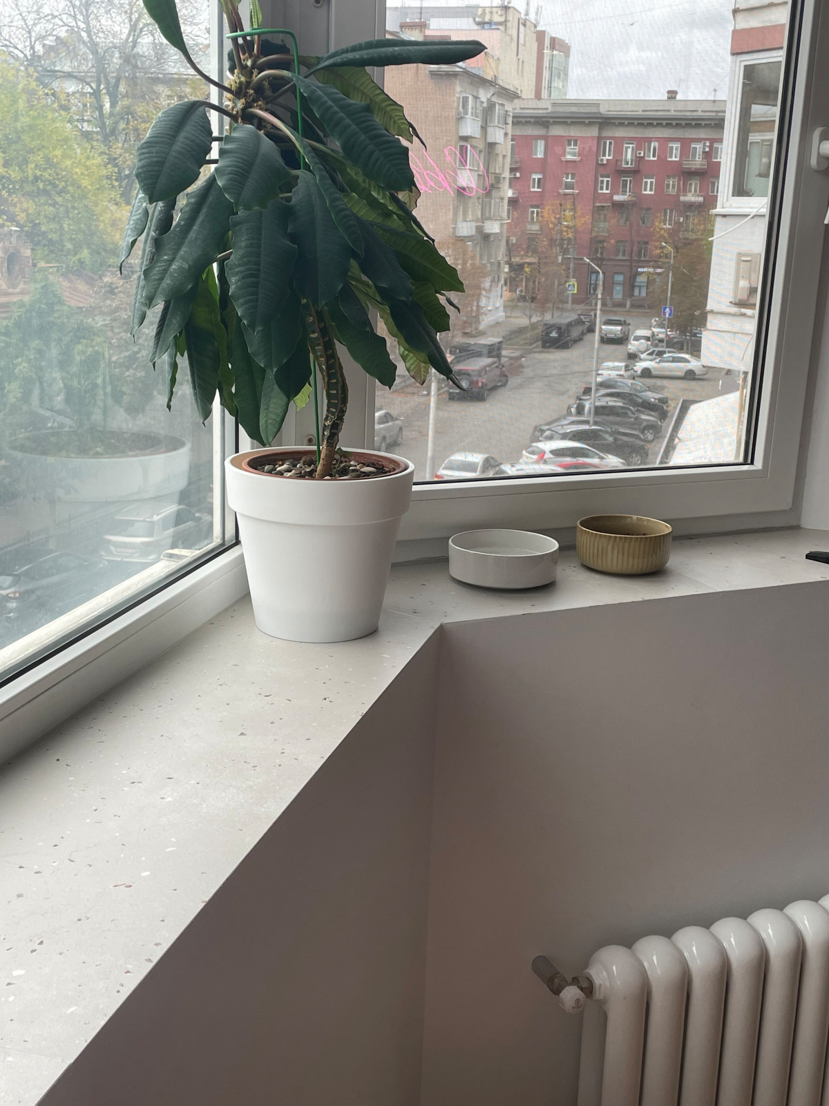 Реализация Нового Проекта