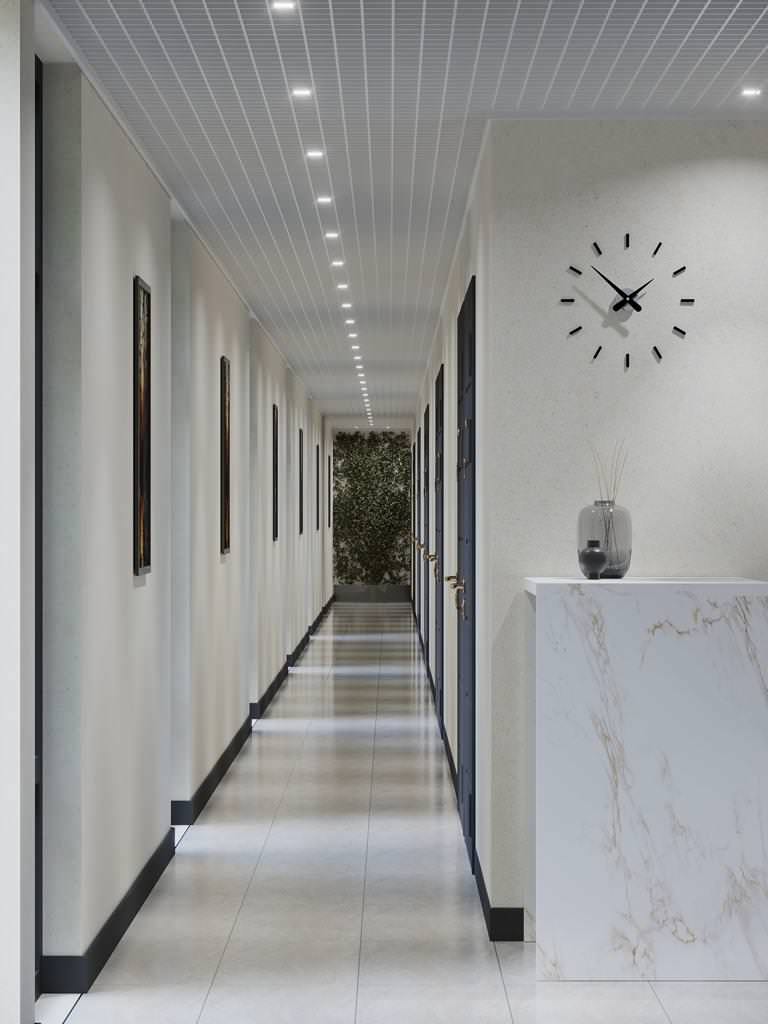 АПАРТАМЕНТЫ  «ASHE-PLATINUM»