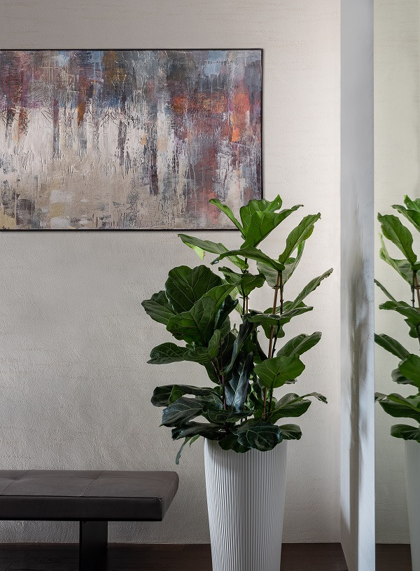 Картины в прихожей