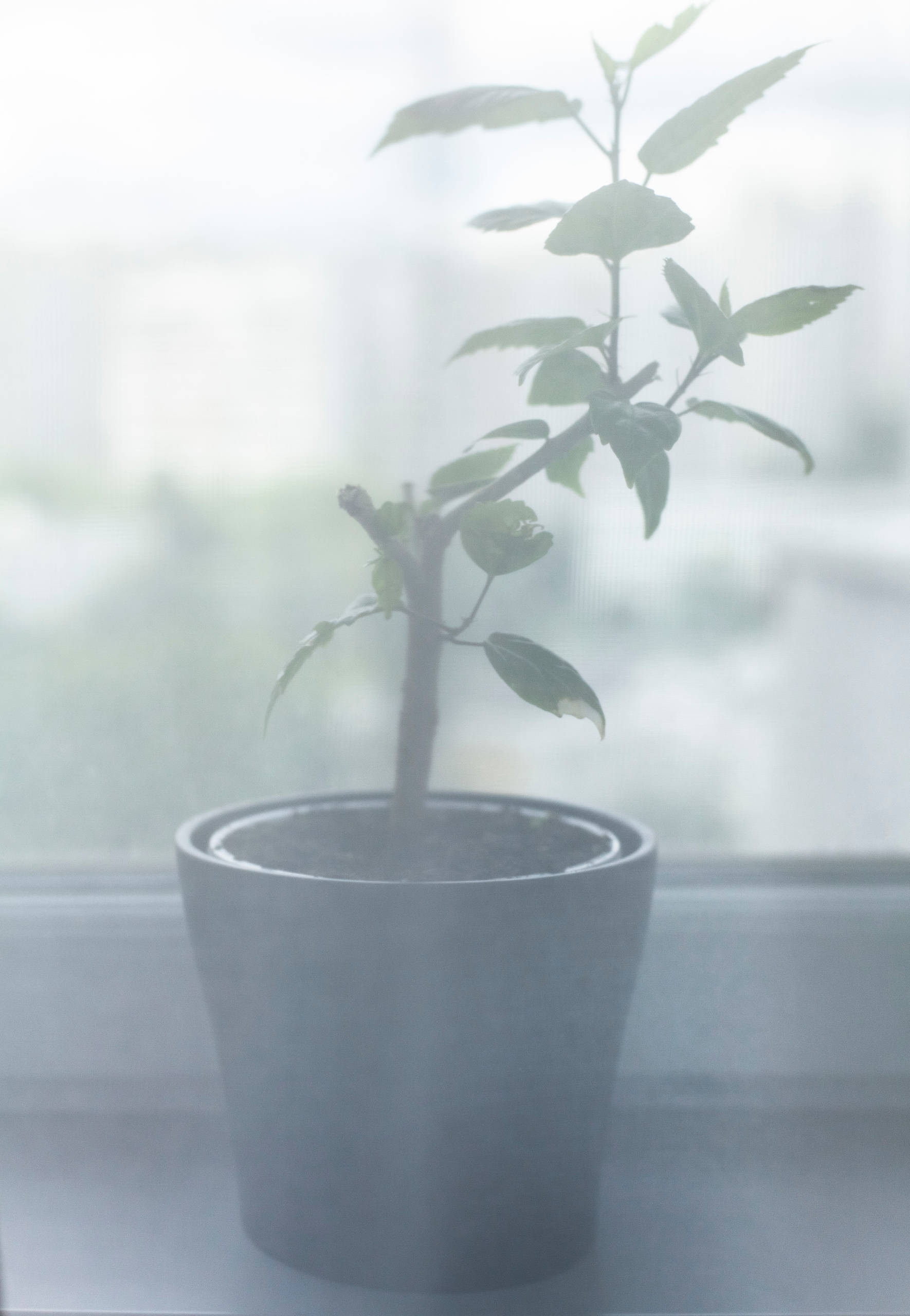 В гостях: Квартира в П-44 — c радугой и вигвамом в детской