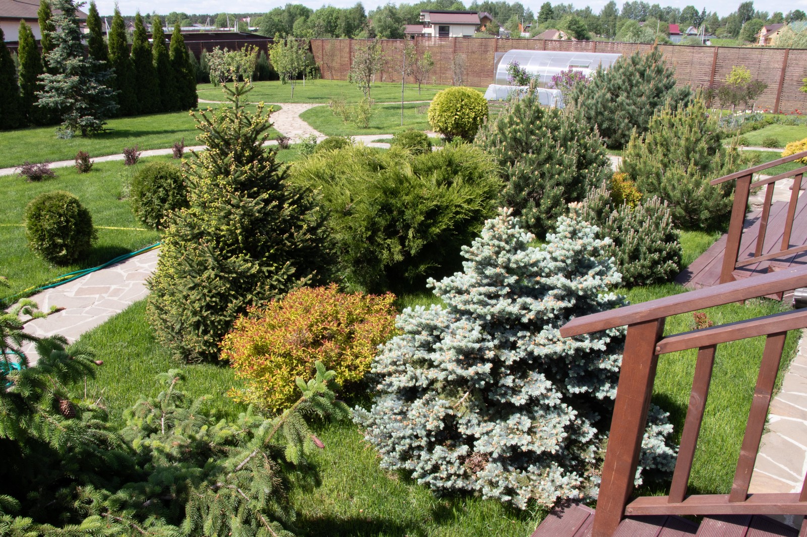 Сосновые берега