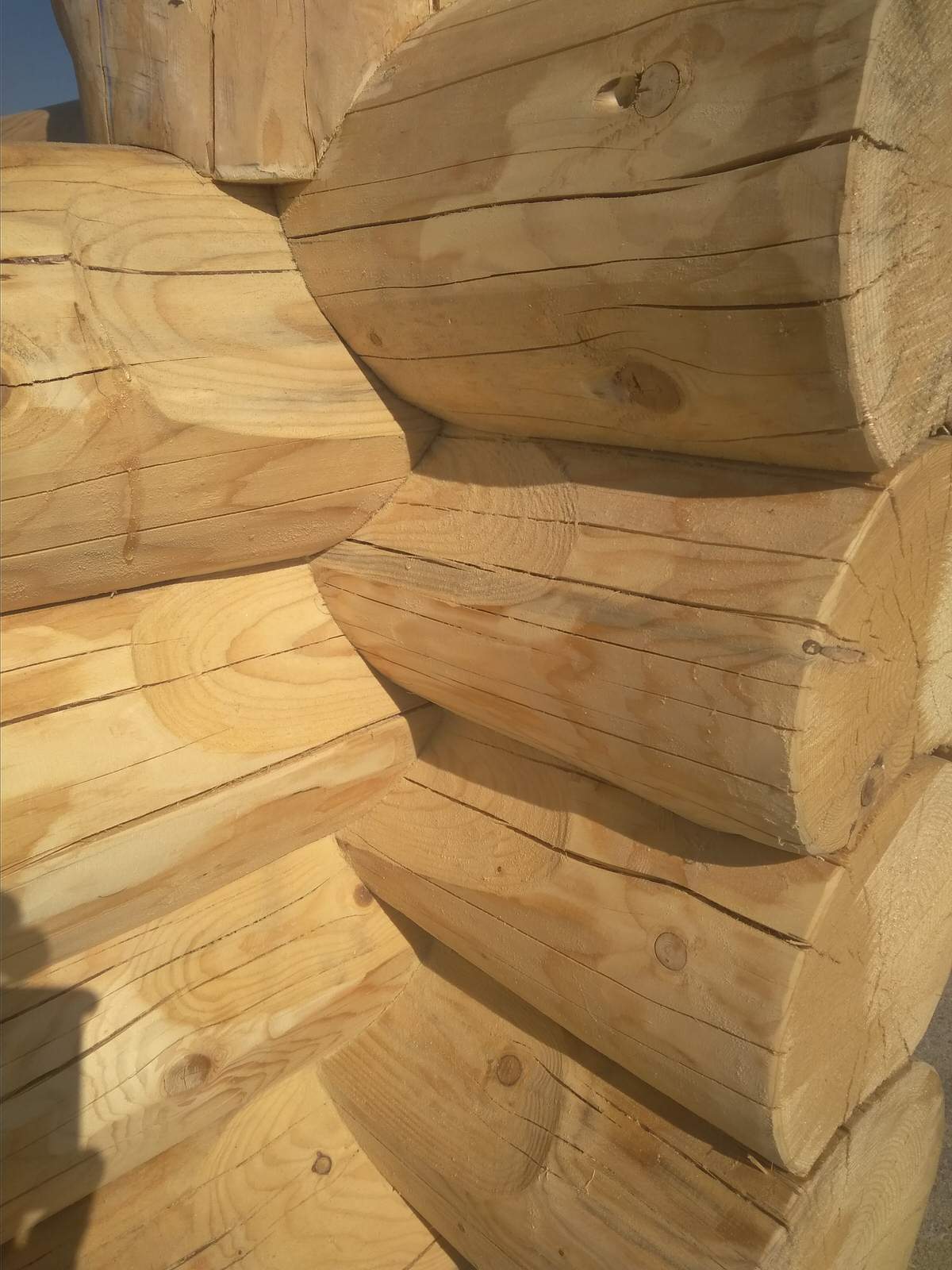 Обложка проекта: log cabin