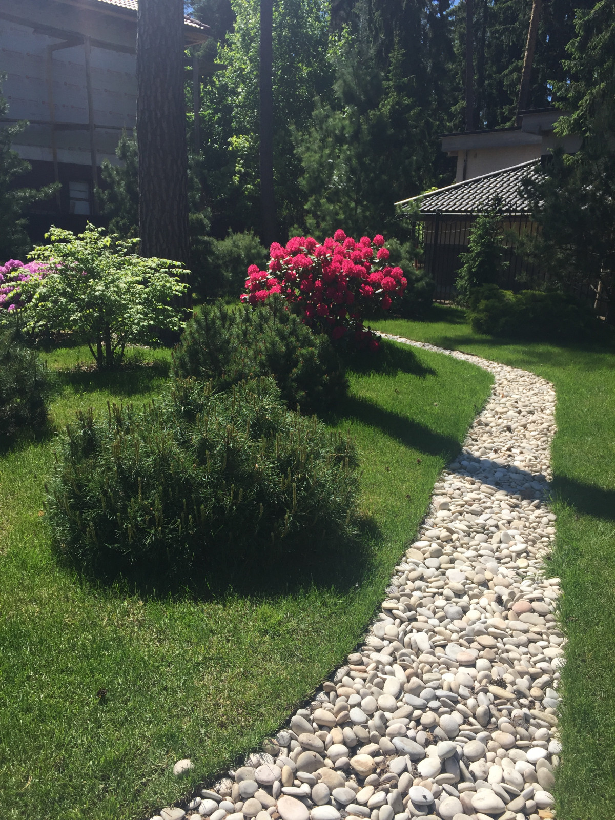 Сосновый Бор 2017.