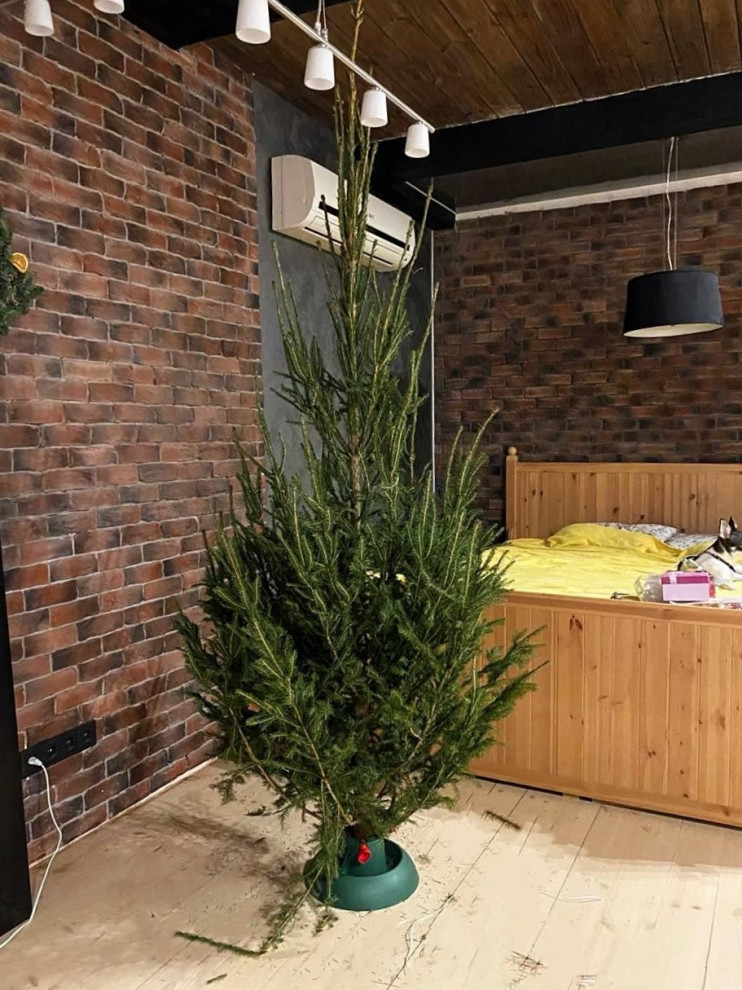 Обложка проекта: небольшая квартира для молодой пары в историческом центре