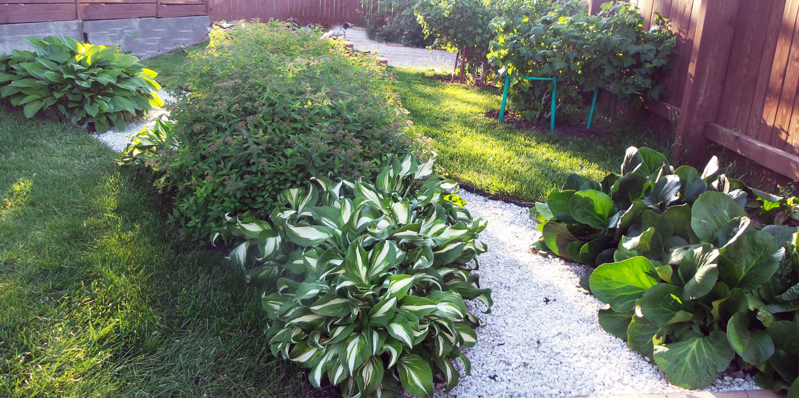 Цветники и композиции