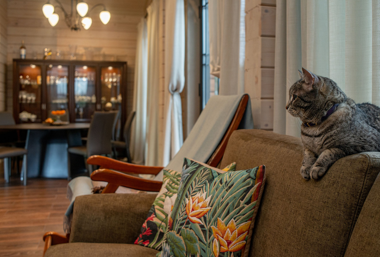 Загородный дом. Ильинское-Усово.