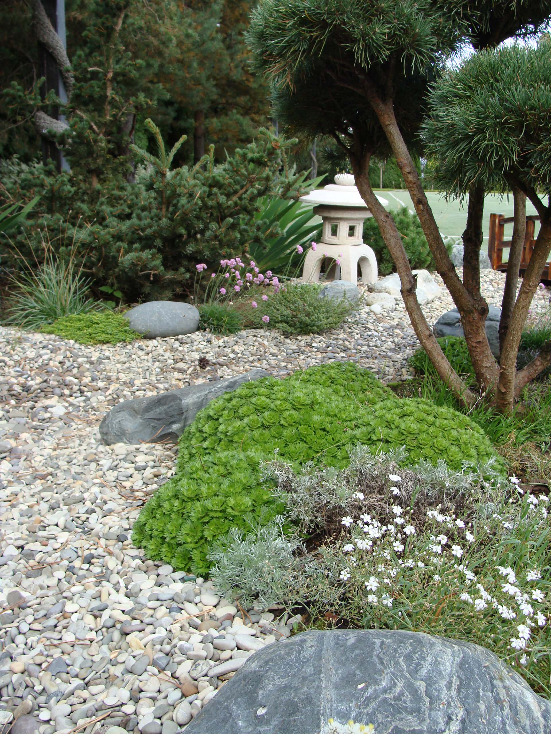 Почвопокровные растения: Зеленый ковер для сада