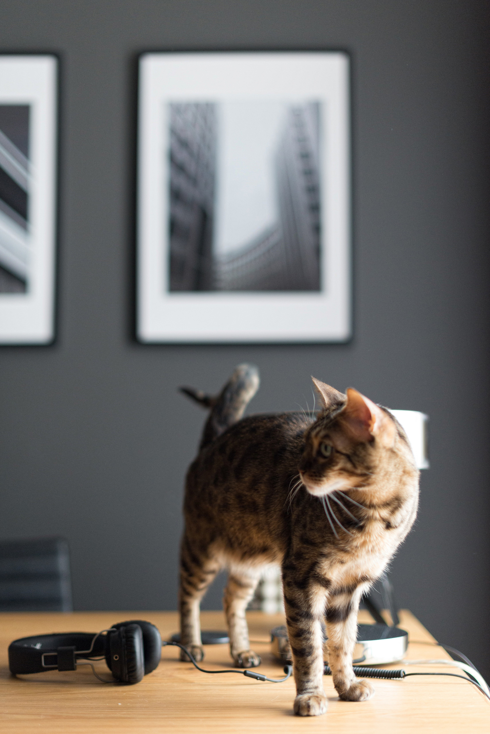 В гостях: Жильё эстета в пяти минутах от Кремля