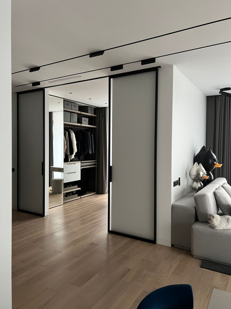 Фотосессия  - двери, мебель и перегородки в московской квартире